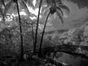 B&W IR thumbnail