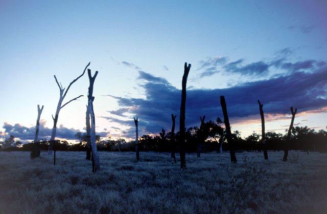 landscape_moorinya_forked_sticks_sunset_n004033_comb_rladj