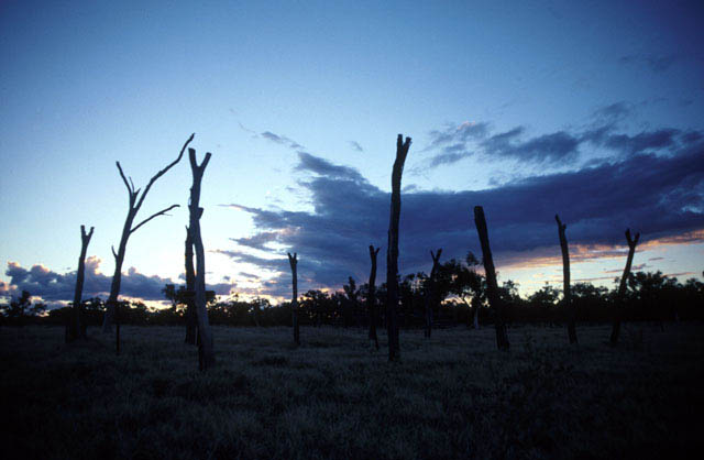 landscape_moorinya_forked_sticks_sunset_noadj_n004033