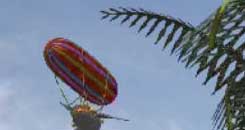 Ballooning above the savanna.